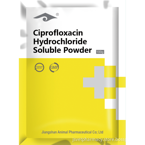 Cure Chicken Flu Ciprofloxcycin